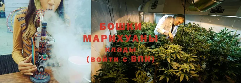 Шишки марихуана Bruce Banner  Гаджиево 